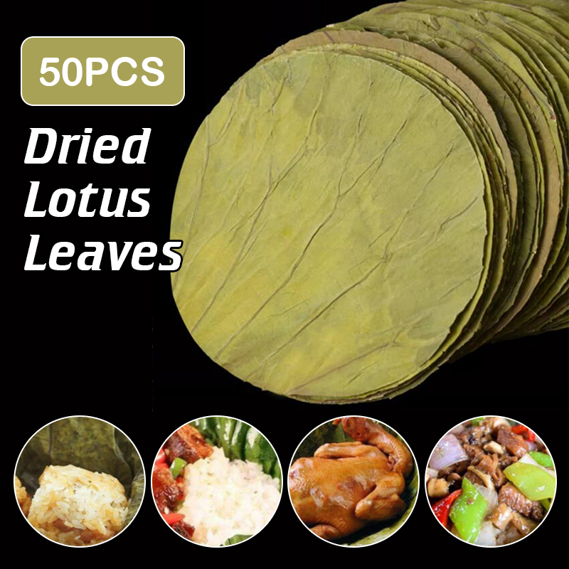 Home Cooking Recipes - 50 pçs 22cm grande disco de